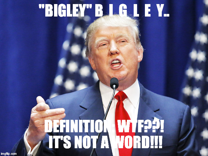 Trump | "BIGLEY" B  I  G  L  E  Y.. DEFINITION: WTF??! IT'S NOT A WORD!!! | image tagged in trump | made w/ Imgflip meme maker