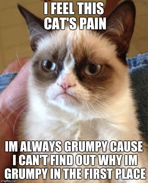 Grumpy Cat Meme | I FEEL THIS CAT'S PAIN IM ALWAYS GRUMPY CAUSE I CAN'T FIND OUT WHY IM GRUMPY IN THE FIRST PLACE | image tagged in memes,grumpy cat | made w/ Imgflip meme maker