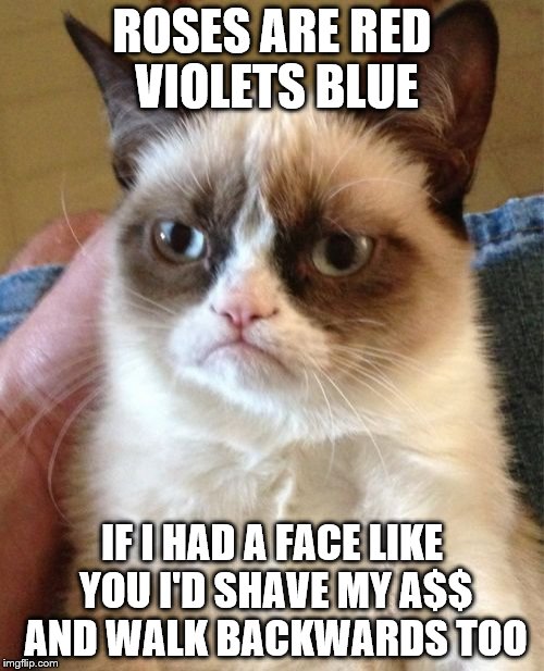 Grumpy Cat | ROSES ARE RED VIOLETS BLUE; IF I HAD A FACE LIKE YOU I'D SHAVE MY A$$ AND WALK BACKWARDS TOO | image tagged in memes,grumpy cat,roses are red | made w/ Imgflip meme maker