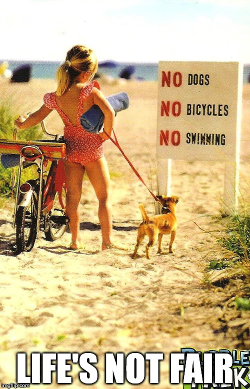 Beach Rules | LIFE'S NOT FAIR | image tagged in beach rules,dogs,beach,bike,swimming | made w/ Imgflip meme maker