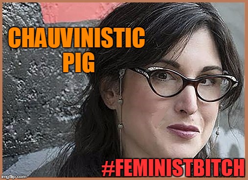 feminist Zeisler | CHAUVINISTIC PIG #FEMINISTB**CH | image tagged in feminist zeisler | made w/ Imgflip meme maker