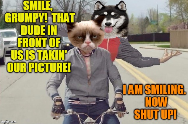 Grumpy Cat and Bad Pun Dog | SMILE,  GRUMPY!  THAT DUDE IN FRONT OF US IS TAKIN' OUR PICTURE! I AM SMILING.  NOW SHUT UP! | image tagged in grumpy | made w/ Imgflip meme maker