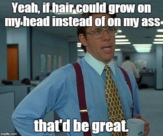 That Would Be Great | Yeah, if hair could grow on my head instead of on my ass; that'd be great. | image tagged in memes,that would be great | made w/ Imgflip meme maker