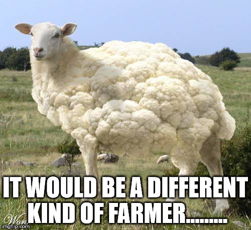 IT WOULD BE A DIFFERENT KIND OF FARMER......... | made w/ Imgflip meme maker