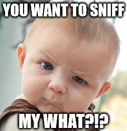 Skeptical Baby Meme | YOU WANT TO SNIFF MY WHAT?!? | image tagged in memes,skeptical baby | made w/ Imgflip meme maker