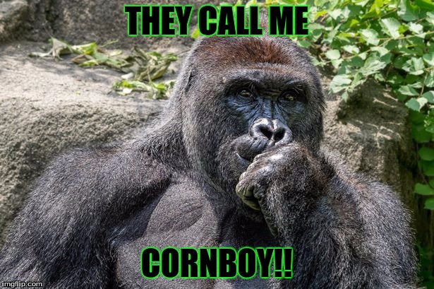 THEY CALL ME; CORNBOY!! | image tagged in harambe,gorilla shot relax zoo harambe | made w/ Imgflip meme maker