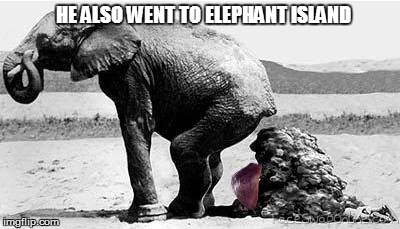 HE ALSO WENT TO ELEPHANT ISLAND | made w/ Imgflip meme maker