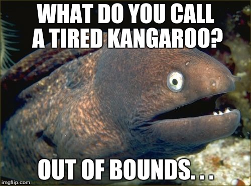 I can't even. | WHAT DO YOU CALL A TIRED KANGAROO? OUT OF BOUNDS. . . | image tagged in memes,bad joke eel | made w/ Imgflip meme maker