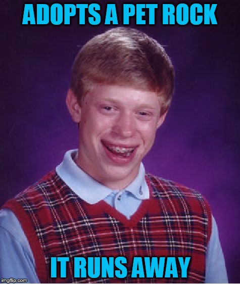 Bad Luck Brian Meme | ADOPTS A PET ROCK IT RUNS AWAY | image tagged in memes,bad luck brian | made w/ Imgflip meme maker