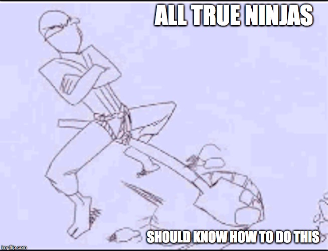Digging With Crouch | ALL TRUE NINJAS; SHOULD KNOW HOW TO DO THIS | image tagged in crouch,memes,ninja | made w/ Imgflip meme maker