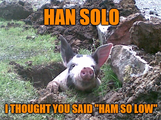 HAN SOLO; I THOUGHT YOU SAID "HAM SO LOW" | image tagged in ham so low | made w/ Imgflip meme maker