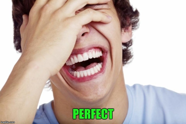 PERFECT | made w/ Imgflip meme maker