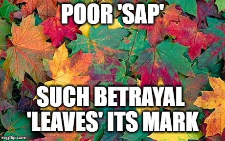 POOR 'SAP' SUCH BETRAYAL 'LEAVES' ITS MARK | made w/ Imgflip meme maker