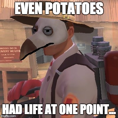 Medic_Doctor | EVEN POTATOES HAD LIFE AT ONE POINT... | image tagged in medic_doctor | made w/ Imgflip meme maker