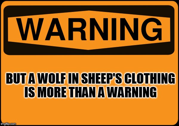 BUT A WOLF IN SHEEP'S CLOTHING IS MORE THAN A WARNING | made w/ Imgflip meme maker