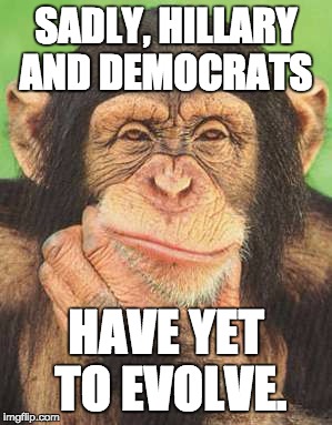 chimpanzee thinking | SADLY, HILLARY AND DEMOCRATS; HAVE YET TO EVOLVE. | image tagged in chimpanzee thinking | made w/ Imgflip meme maker
