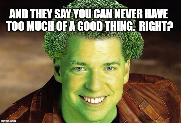 AND THEY SAY YOU CAN NEVER HAVE TOO MUCH OF A GOOD THING.  RIGHT? | made w/ Imgflip meme maker