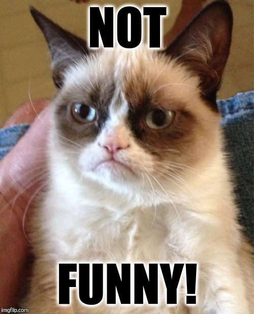Grumpy Cat Meme | NOT FUNNY! | image tagged in memes,grumpy cat | made w/ Imgflip meme maker