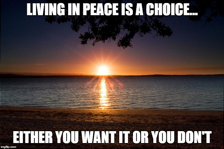 Living In Peace | LIVING IN PEACE IS A CHOICE... EITHER YOU WANT IT OR YOU DON'T | image tagged in inspirational,motivational,peace,confidence,purpose,life | made w/ Imgflip meme maker