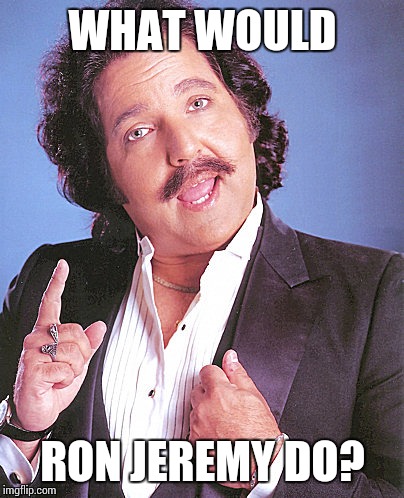 WWRJD | WHAT WOULD; RON JEREMY DO? | image tagged in ron jeremy,hedgehog,advice god | made w/ Imgflip meme maker