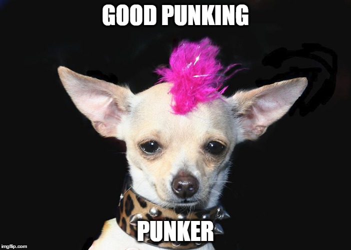 GOOD PUNKING; PUNKER | made w/ Imgflip meme maker