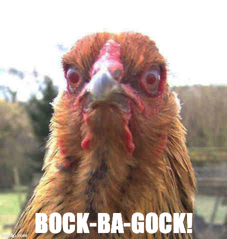 revenge chicken | BOCK-BA-GOCK! | image tagged in revenge chicken | made w/ Imgflip meme maker