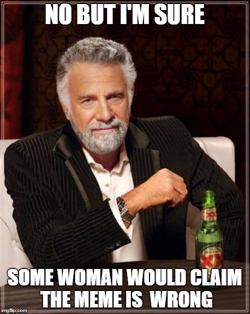 The Most Interesting Man In The World Meme | NO BUT I'M SURE SOME WOMAN WOULD CLAIM THE MEME IS  WRONG | image tagged in memes,the most interesting man in the world | made w/ Imgflip meme maker