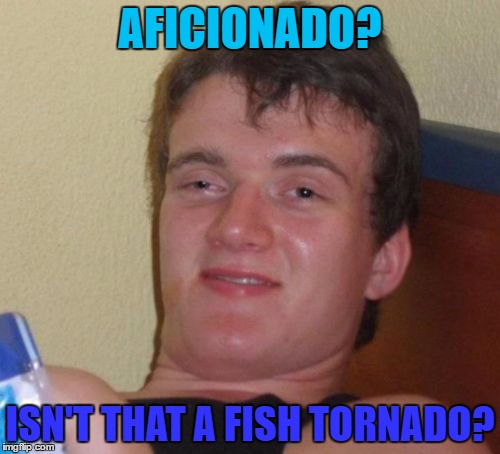 Just as well he's not a weatherman... | AFICIONADO? ISN'T THAT A FISH TORNADO? | image tagged in memes,10 guy,fish,animals,tornado | made w/ Imgflip meme maker