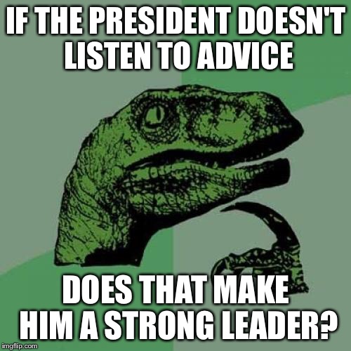 Philosoraptor Meme | IF THE PRESIDENT DOESN'T LISTEN TO ADVICE DOES THAT MAKE HIM A STRONG LEADER? | image tagged in memes,philosoraptor | made w/ Imgflip meme maker