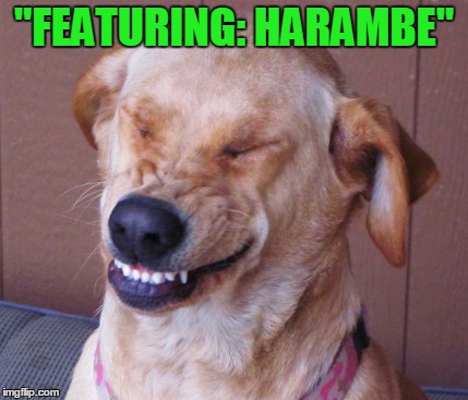 "FEATURING: HARAMBE" | made w/ Imgflip meme maker