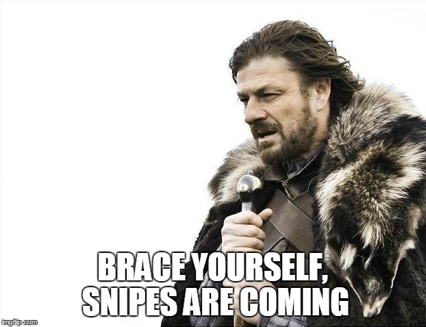 Brace Yourselves X is Coming Meme | BRACE YOURSELF, SNIPES ARE COMING | image tagged in memes,brace yourselves x is coming | made w/ Imgflip meme maker