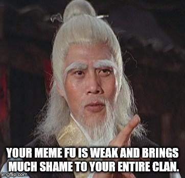 Wise Kung Fu Master | YOUR MEME FU IS WEAK AND BRINGS MUCH SHAME TO YOUR ENTIRE CLAN. | image tagged in wise kung fu master | made w/ Imgflip meme maker
