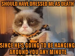 You don't dress up Grumpy Cat! | SHOULD HAVE DRESSED ME AS DEATH; SINCE HE'S GOING TO BE HANGING AROUND YOU ANY MINUTE | image tagged in memes,grumpy cat halloween,grumpy cat | made w/ Imgflip meme maker