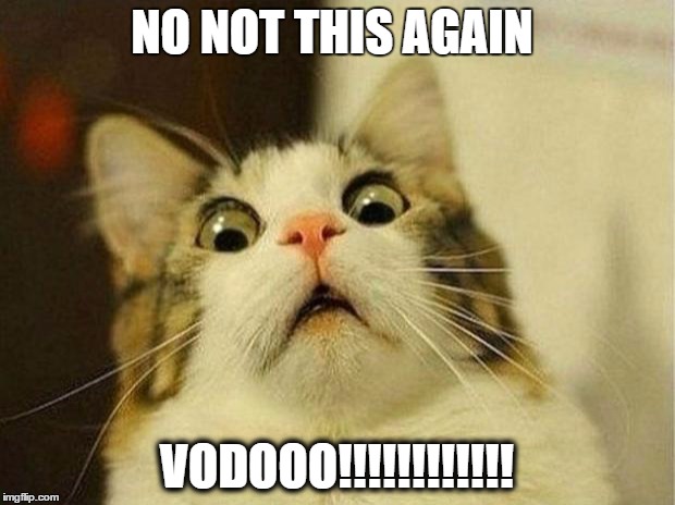 Scared Cat | NO NOT THIS AGAIN; VODOOO!!!!!!!!!!!! | image tagged in memes,scared cat | made w/ Imgflip meme maker