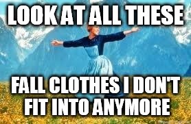 Look At All These | LOOK AT ALL THESE; FALL CLOTHES I DON'T FIT INTO ANYMORE | image tagged in memes,look at all these | made w/ Imgflip meme maker