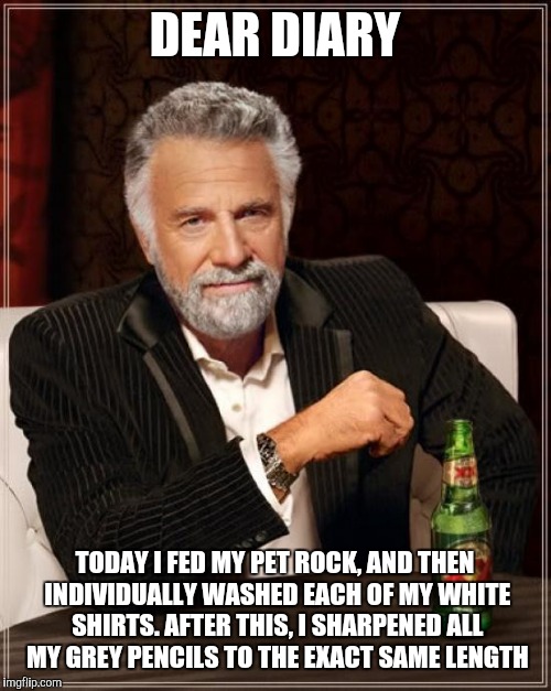 The Most Uninteresting Man in the World | DEAR DIARY; TODAY I FED MY PET ROCK, AND THEN INDIVIDUALLY WASHED EACH OF MY WHITE SHIRTS. AFTER THIS, I SHARPENED ALL MY GREY PENCILS TO THE EXACT SAME LENGTH | image tagged in memes,the most interesting man in the world | made w/ Imgflip meme maker