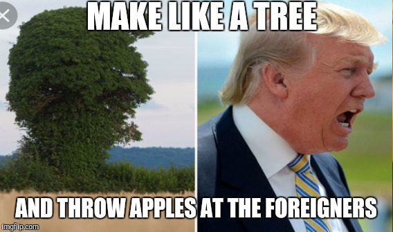 Wizard of Oz Anyone? | MAKE LIKE A TREE; AND THROW APPLES AT THE FOREIGNERS | image tagged in donald trump | made w/ Imgflip meme maker