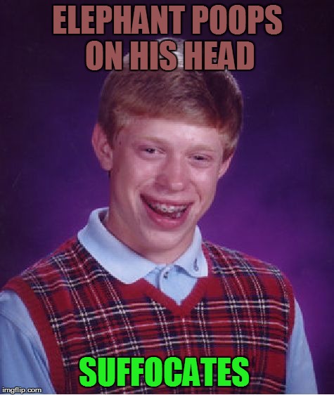 Bad Luck Brian Meme | ELEPHANT POOPS ON HIS HEAD SUFFOCATES | image tagged in memes,bad luck brian | made w/ Imgflip meme maker