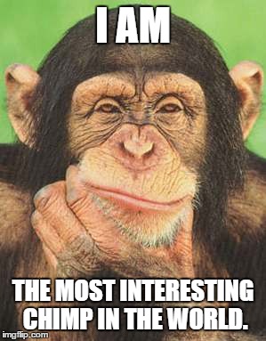 chimpanzee meme
