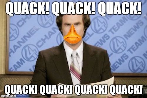 This is Duck News with Hugh McQuacken | QUACK! QUACK! QUACK! QUACK! QUACK! QUACK! QUACK! | image tagged in memes,ron burgundy | made w/ Imgflip meme maker