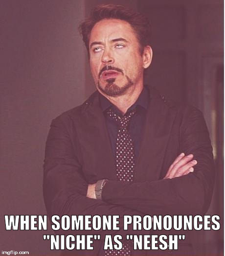 Face You Make Robert Downey Jr Meme | WHEN SOMEONE PRONOUNCES "NICHE" AS "NEESH" | image tagged in memes,face you make robert downey jr | made w/ Imgflip meme maker