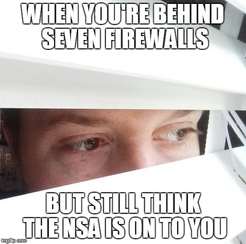 Window Shade Dave | WHEN YOU'RE BEHIND SEVEN FIREWALLS; BUT STILL THINK THE NSA IS ON TO YOU | image tagged in window,paranoid | made w/ Imgflip meme maker