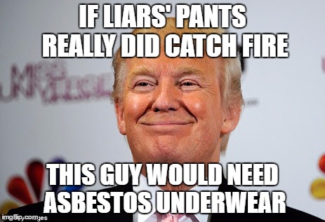 Donald trump approves | IF LIARS' PANTS REALLY DID CATCH FIRE; THIS GUY WOULD NEED ASBESTOS UNDERWEAR | image tagged in donald trump approves | made w/ Imgflip meme maker