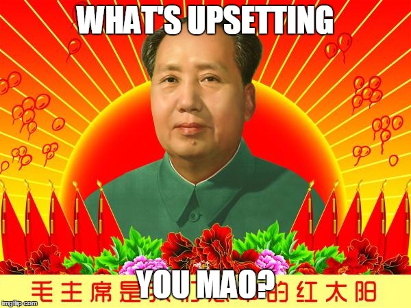 WHAT'S UPSETTING; YOU MAO? | image tagged in mao mao | made w/ Imgflip meme maker