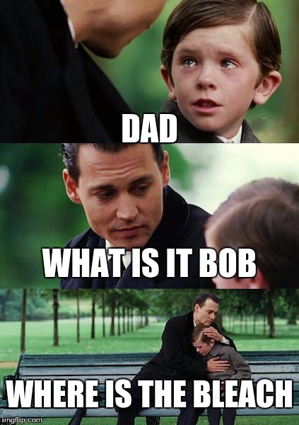 The First Day Of School | DAD; WHAT IS IT BOB; WHERE IS THE BLEACH | image tagged in memes,finding neverland | made w/ Imgflip meme maker