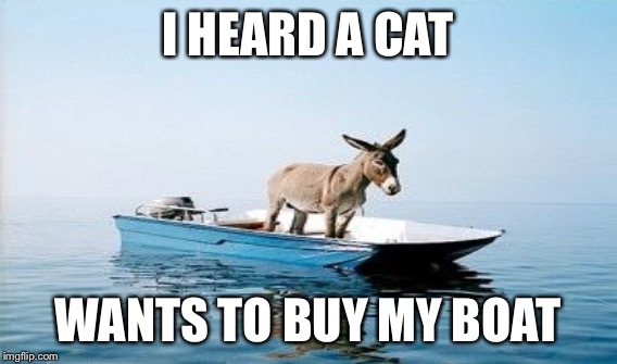 I HEARD A CAT WANTS TO BUY MY BOAT | made w/ Imgflip meme maker