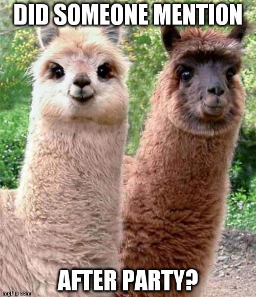 Happy Birthday Llama | DID SOMEONE MENTION; AFTER PARTY? | image tagged in happy birthday llama | made w/ Imgflip meme maker