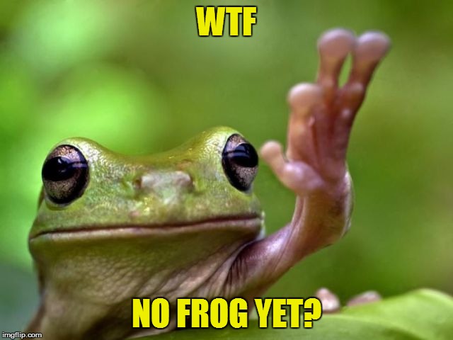 WTF NO FROG YET? | made w/ Imgflip meme maker