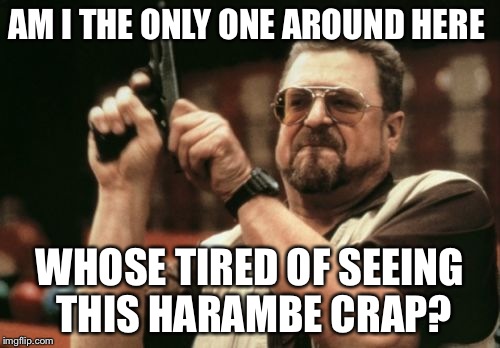 I get it, it's sad, But move on with your lives already | AM I THE ONLY ONE AROUND HERE; WHOSE TIRED OF SEEING THIS HARAMBE CRAP? | image tagged in memes,am i the only one around here | made w/ Imgflip meme maker