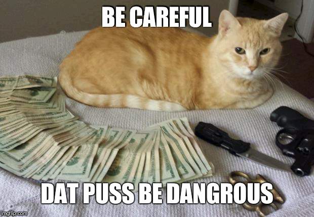 Thug life | BE CAREFUL; DAT PUSS BE DANGROUS | image tagged in thug life | made w/ Imgflip meme maker